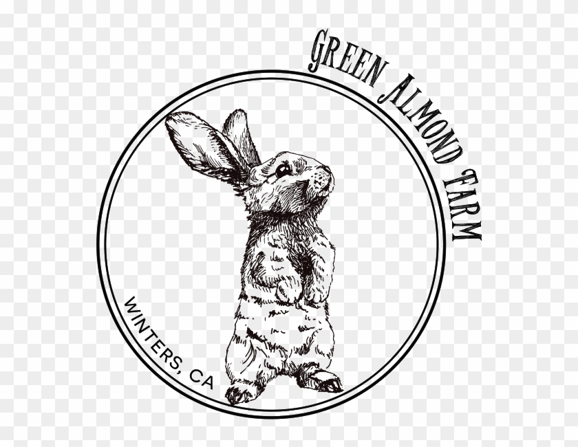 Green Almond Farm Is Owned And Operated By Uc Davis - Easter #1456267