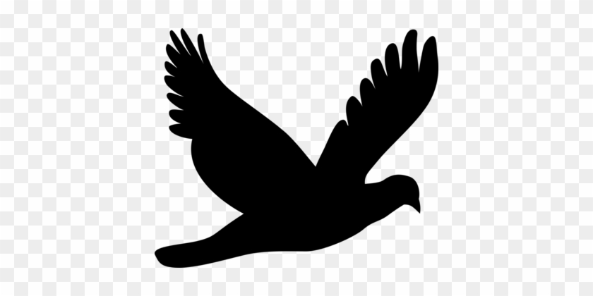 Columbidae Bird Silhouette Drawing Mourning Dove - Silueta De Paloma Volando #1456603