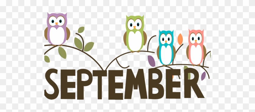 September Owl #1456682