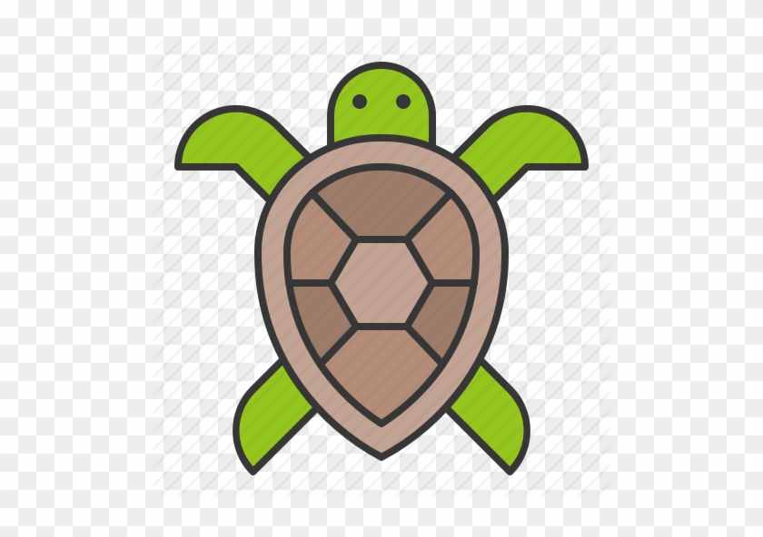 Ocean Filled By Icon Stall Aquatic Animal - Outline Of Turtle #1456862