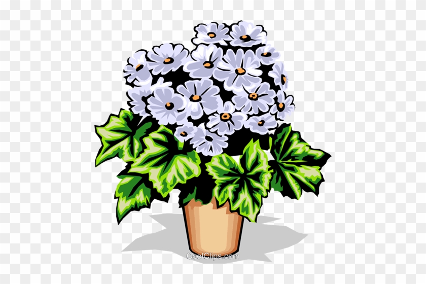 Potted Flower Royalty Free Vector Clip Art Illustration - Potted Flower Royalty Free Vector Clip Art Illustration #1456884