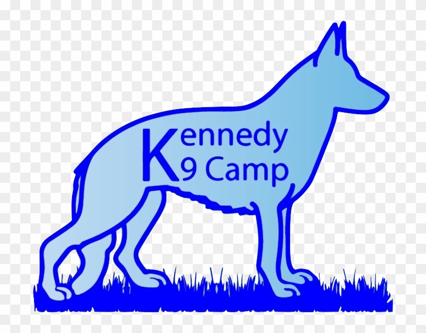 33f6d494 09d7 11e9 9c3f 0242ac110002 16ba8118 0352 - Kennedy K9 Camp #1457196