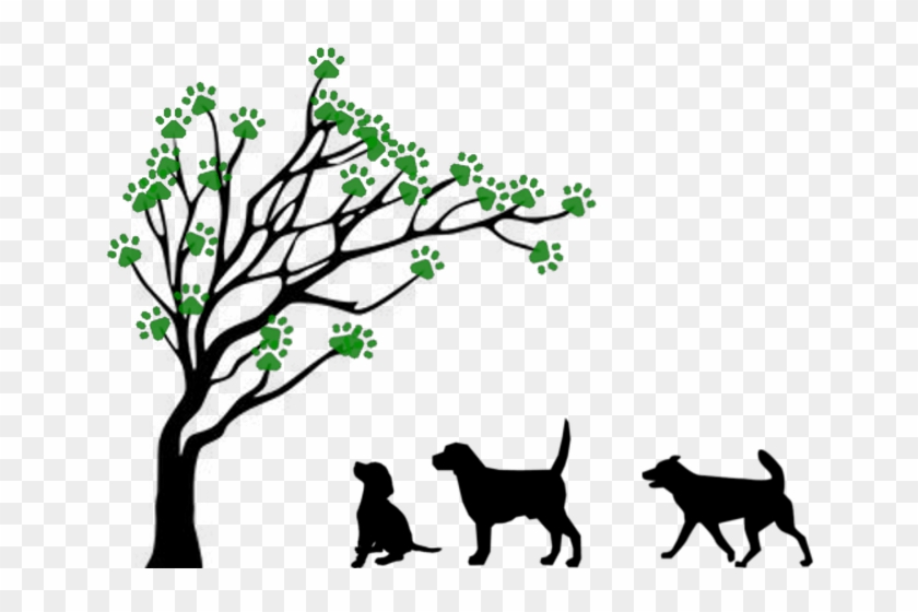 Paws Wander Inn Logo - Tree Drawing No Leaves #1457221