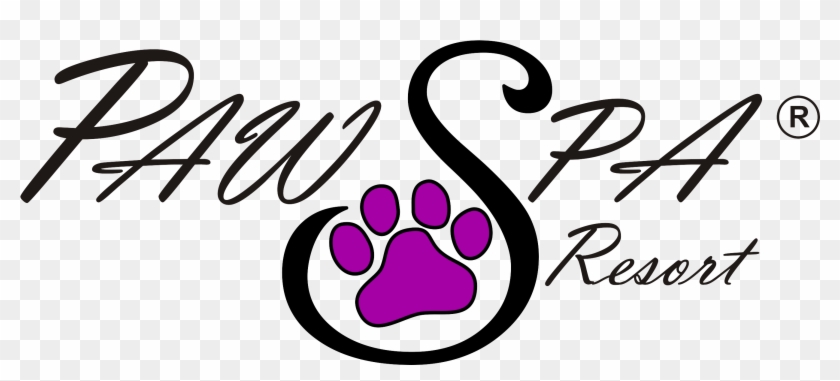 Dog Boarding / Cat Boarding - Paw Spa #1457248