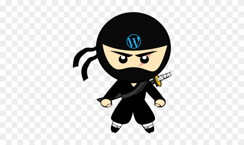 The Wordpress Ninja Media Display Options Page - Little Ninja #1457257