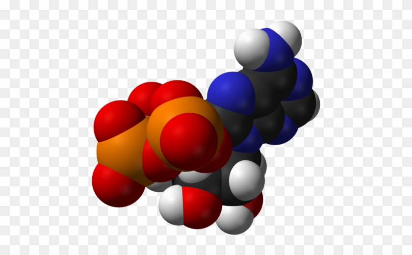 Atp Molecule Png #226421