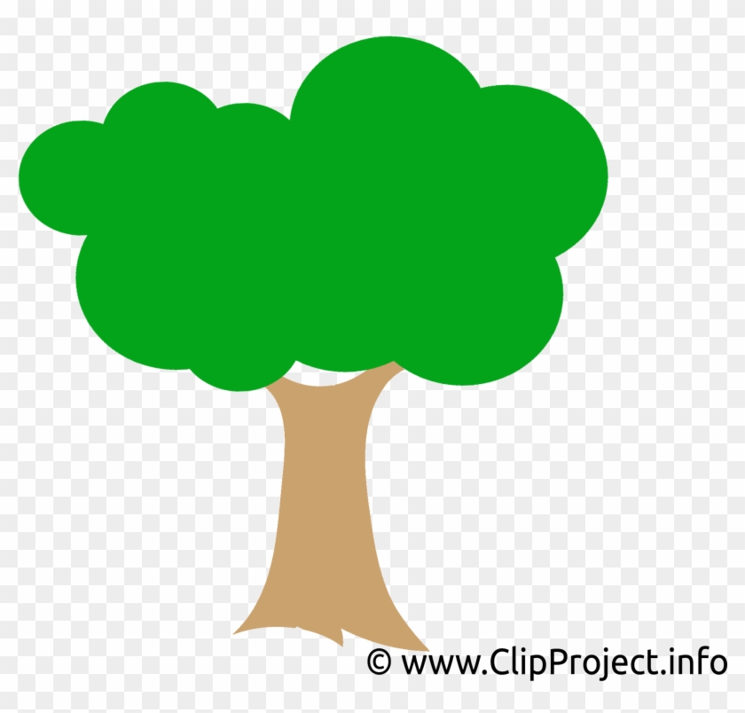 Arbre Dessin Png Free Transparent Png Clipart Images Download