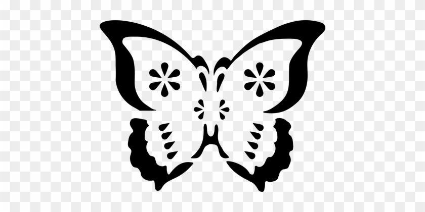 Butterfly, Animal, Flying, Wings, Insect - Stencil Farfalla #226595