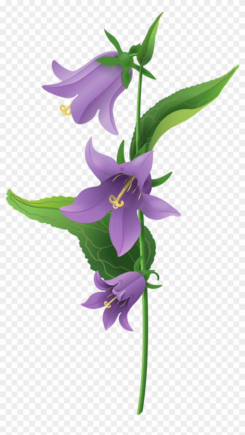 Wild Purple Bell Flower Png Clip Art Image - Bell Flower Clipart Png #226624