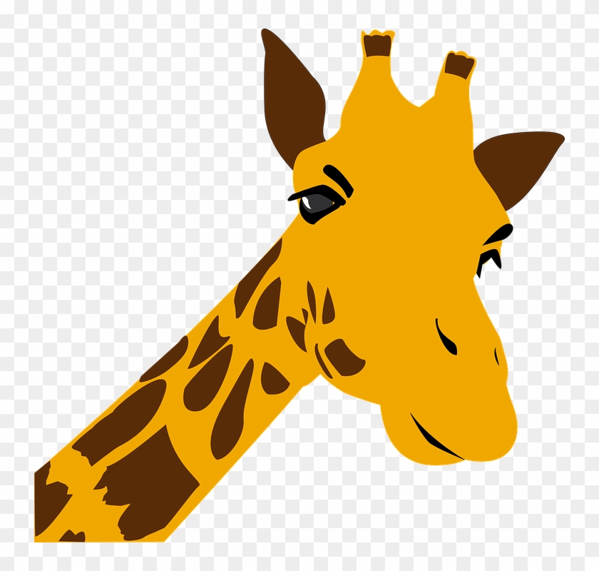 Ein Hauch Von Afrika Liegt In Der Luft - Giraffes Coloring Book For Adults [book] #227107
