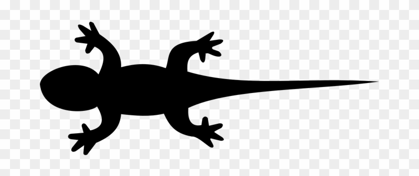 Eidechse, Leguan, Gecko, Tier, Natur - Silhouette Lizard #227115