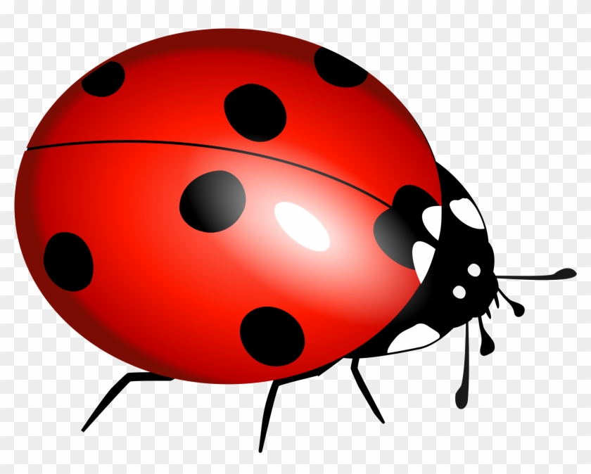 Ladybug Flying Clipart Clipart Panda - Lady Bug Clip Art #227681