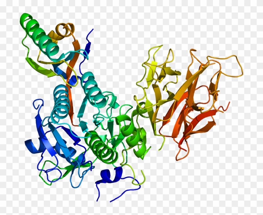 Why Drugs Are Expensive - Galntransferase #227749