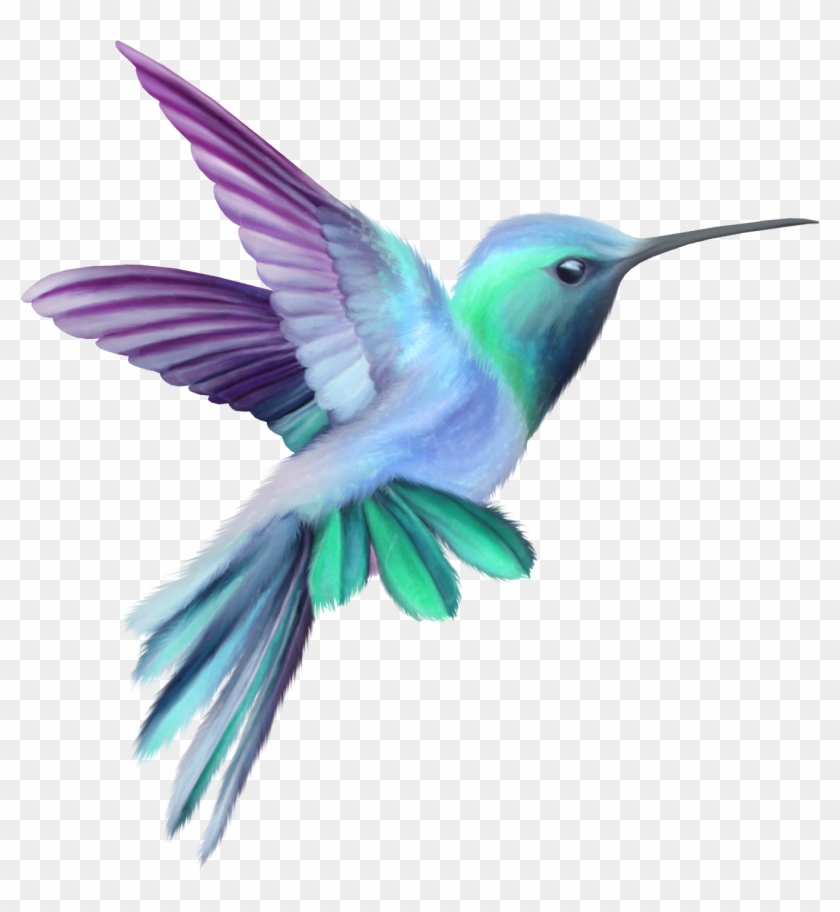 Image Result For Hummingbird - Hummingbird Clipart #227813