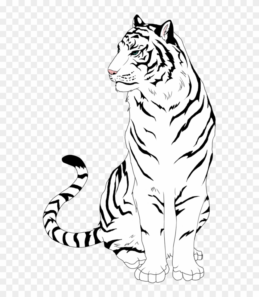 White Tiger Clipart Easy Draw A Tiger Sitting Free Transparent Png