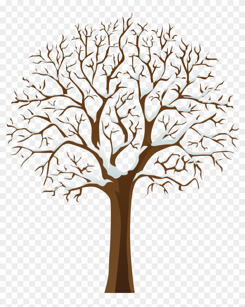 Snowy Winter Tree Transparent Png Image - Snowy Winter Tree Transparent Png Image #228773