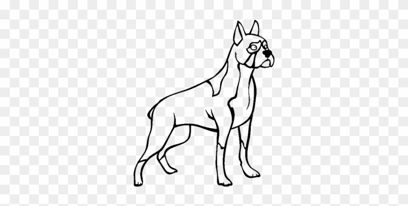 Nett Clifford Der Große Rote Hund Malvorlagen Zum Ausdrucken - Boxer Puppy Coloring Pages #229165