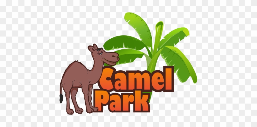 Camel Park - Teneriffa Camel Park #229262