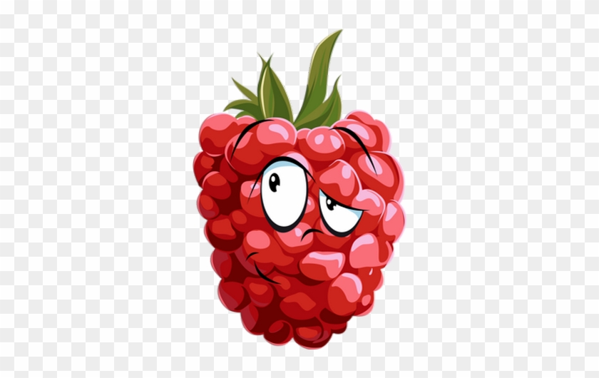 Framboise - Raspberry Drawing #229540