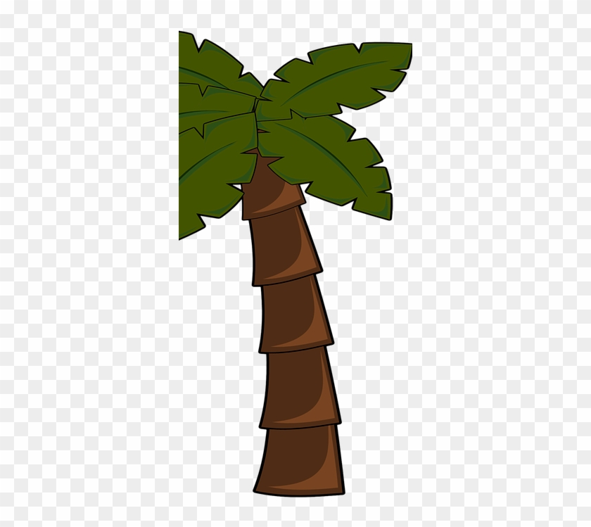 Klick Auf Die Matten Und Es Öffnet Sich Ein Katalog - Palm Tree Clip Art #229665