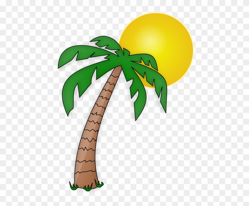 Die Untere Ist Für Mamas - Cartoon Palm Tree #229700