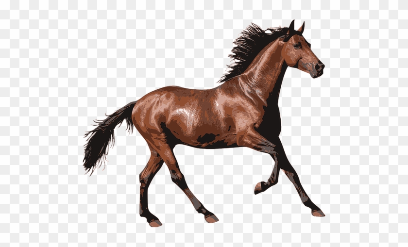 Pferde Klick > - Horse Hd #229758