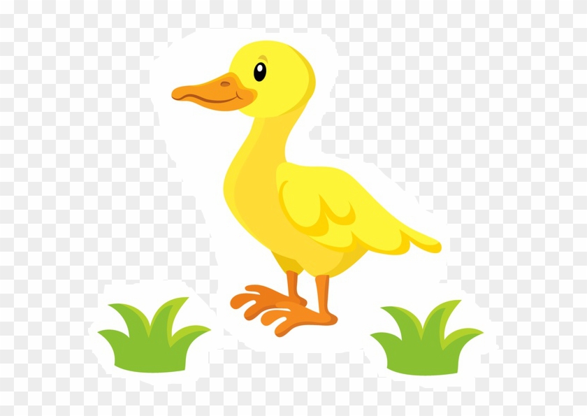 Eine Kleine Ente In Eine Bordüre Oder In Einen Pullover - Duck #229825