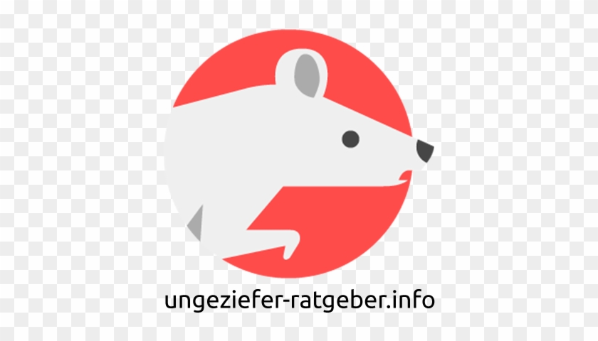 Ungeziefer-ratgeber - Info - Cockroach #230105