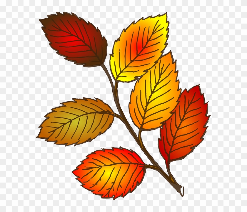 Die Fahrtensaison Ist Nun Bald Vorbei - Leaves Clip Art #230225