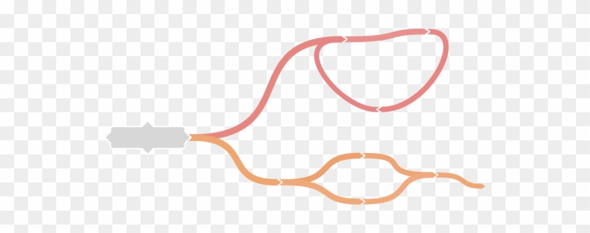 Create Loops And Join Branches - Mind Map Branches Png #230233