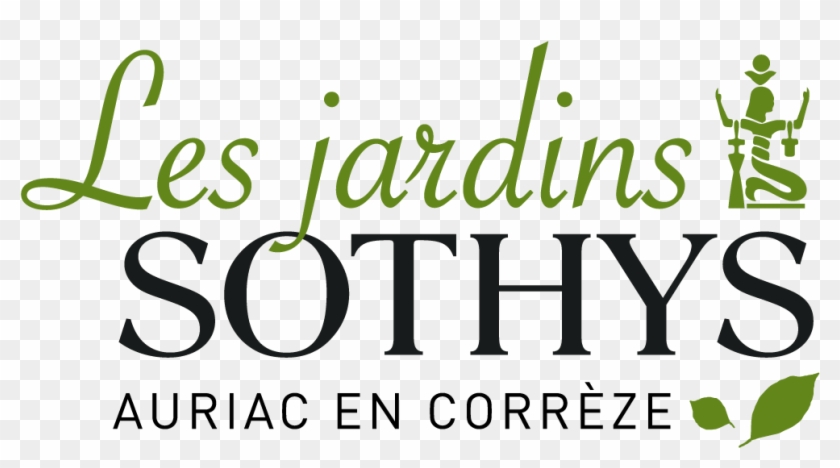 Les Jardins Sothys - Sothys Youth Intensive Treatment #230392
