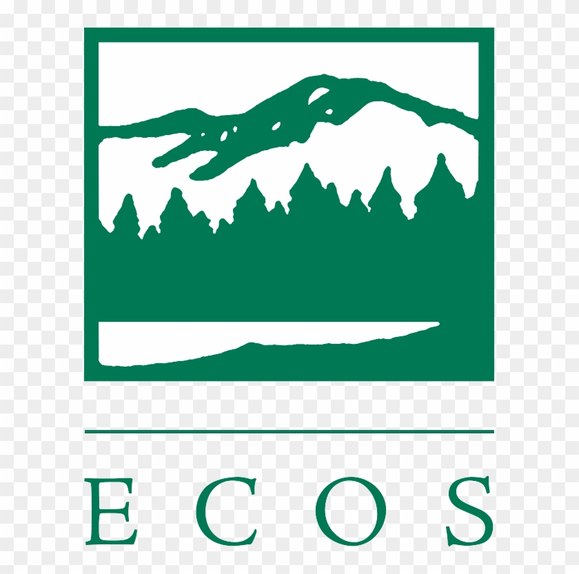 The Environmental Council Of The States - Environmental Council Of The States #1457628
