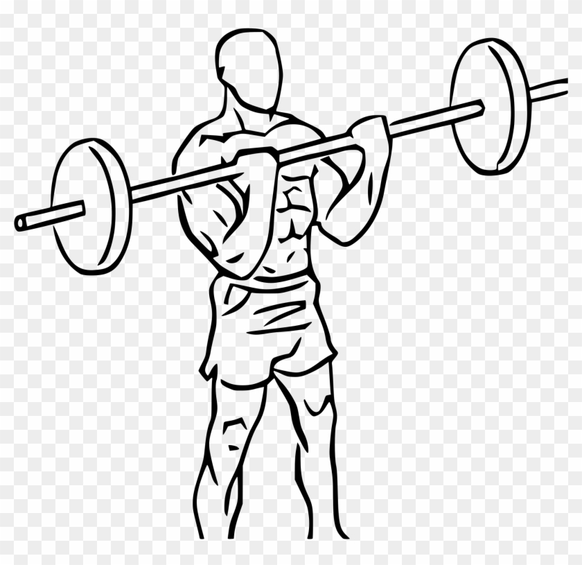 Graphic Transparent Stock Bicep Clipart Weightlifting - B B Curl #1457835