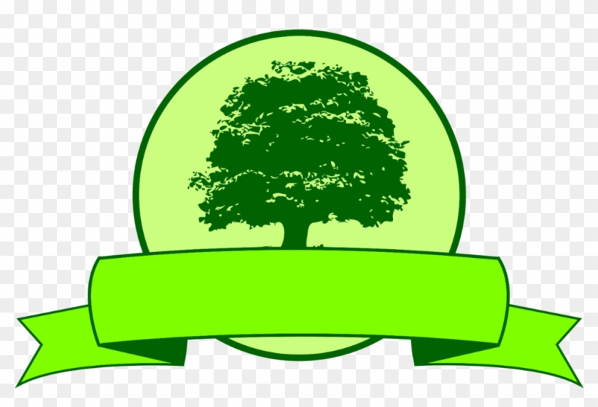 Ez Lawn Care Llc - Ez Lawn Care Llc #1458125