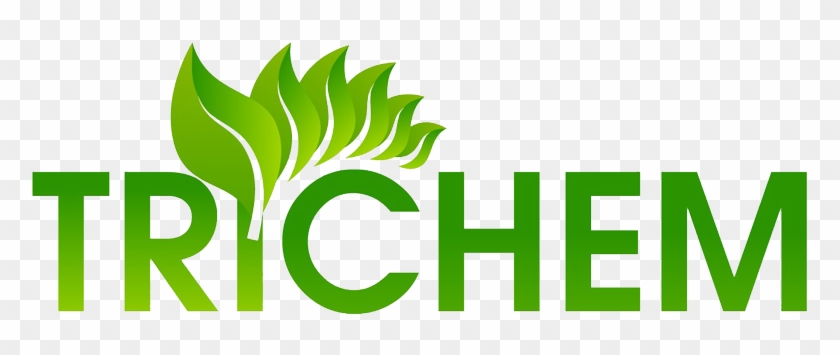 Follow - لوجو المعلمون اولا #1458132