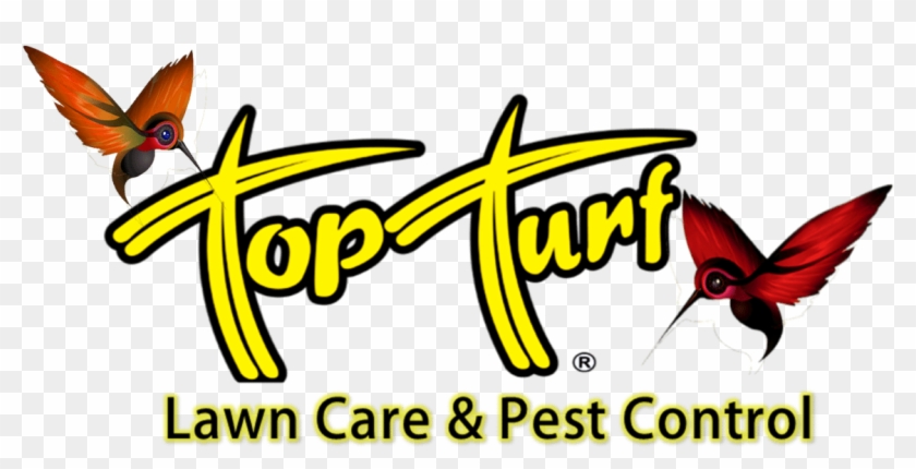 Old Top Turf Logo - Top Turf #1458151