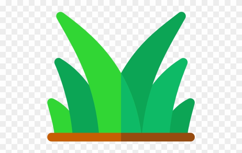 Lawn Care - Lawn #1458155