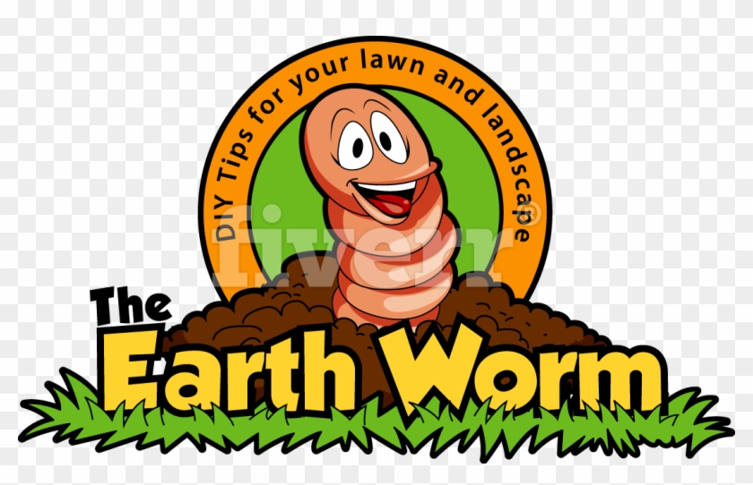 Lawn Care Tips - Yellow Nutsedge #1458168