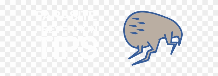 Flea Parasite - Flea Parasite #1458558