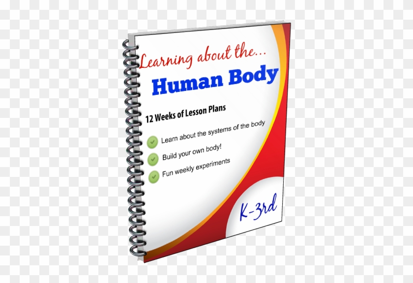 12 Week Lesson Plans To Study The Human Body With Students - Parchment Paper For Baking And Healthy Cooking And #1458574
