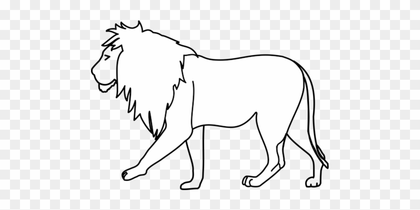 Lion Drawing Line Art Pencil - Transparent Lion Clipart Black And White #1458605