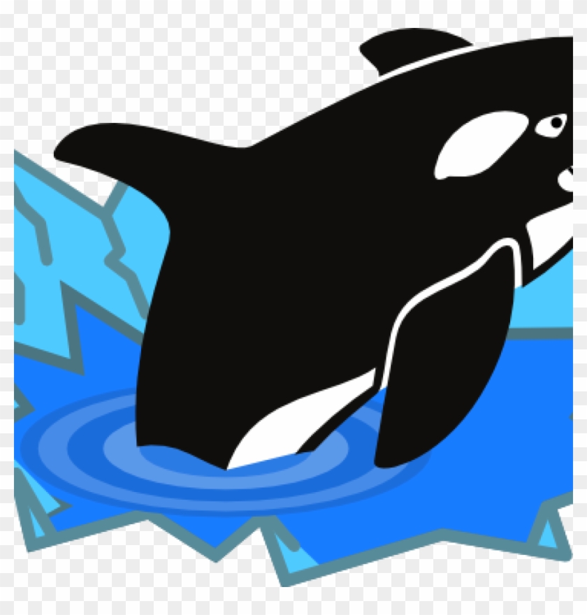 Orca Whale Clip Art Orca Whale Clipart At Getdrawings - Baby Killer Whale Cartoon #1458659