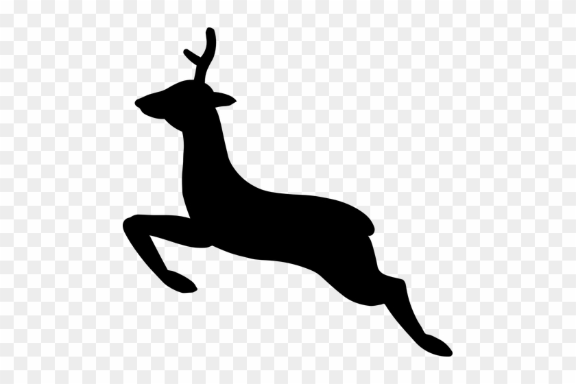 Deer, Animal, Mammal, Wild - Christmas Deer Vector Png #1458677