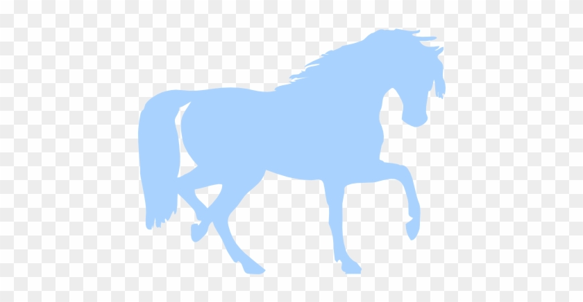 Horse Svg Clip Arts 600 X 402 Px , Png Download - Namık Kemal Üniversitesi Veteriner Fakültesi #1459118