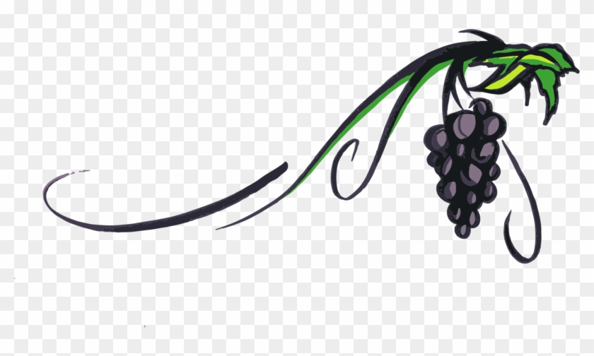 Grapevine Png Transparent Picture - Grape Vines Png #1459467