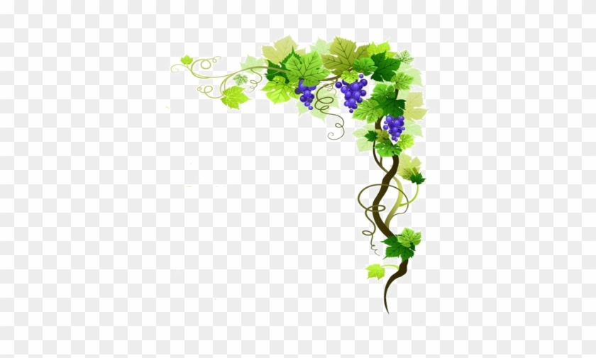 Grapevine Png Transparent Image - Grape Vine Border Png #1459469