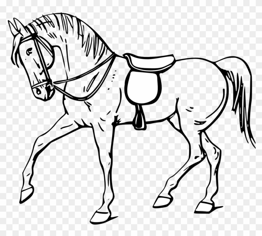 Horse Coloring Book Free Clipart Best - Horse Clipart Black And White #1459559