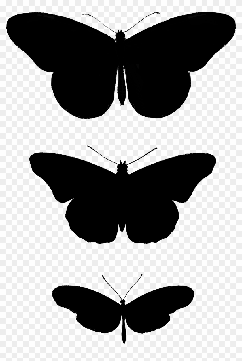 2267 Butterfly Silhouettes Free Vintage Clip Art➢ Download - Brush-footed Butterfly #1459735