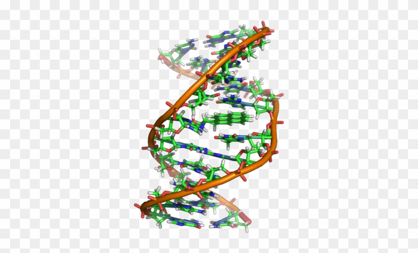 Damage - Familial Dna Searching #1459874