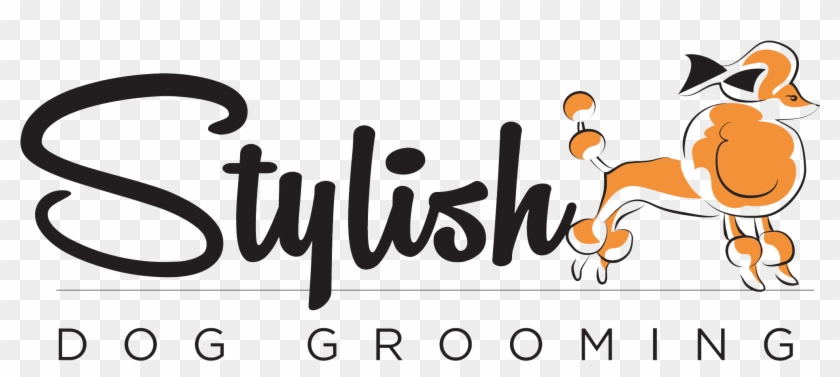 Service For Dogs And Cats - Albert Einstein Failure Is Success In Progress Motivational #1460094